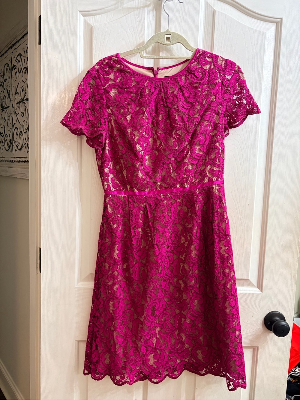 Adrianna Papell Fuchsia Lace Fit-and-Flare Dress